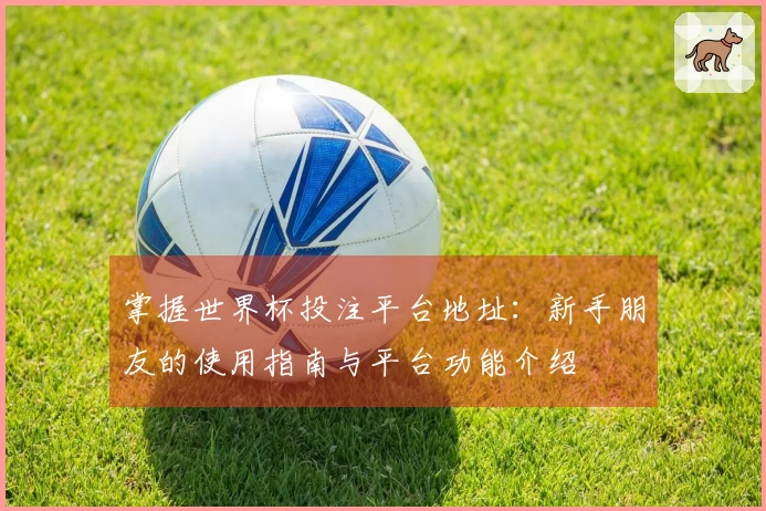 掌握世界杯投注平台地址：新手朋友的使用指南与平台功能介绍