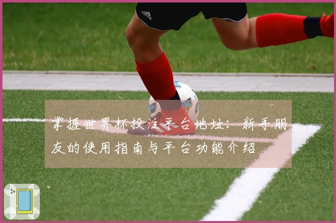 掌握世界杯投注平台地址：新手朋友的使用指南与平台功能介绍